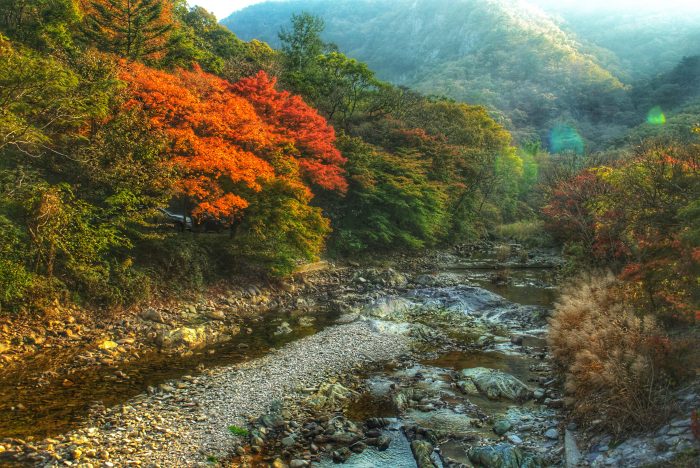 Klimaat Zuid-Korea: Prachtige herfstkleuren in de natuur bij Seoul