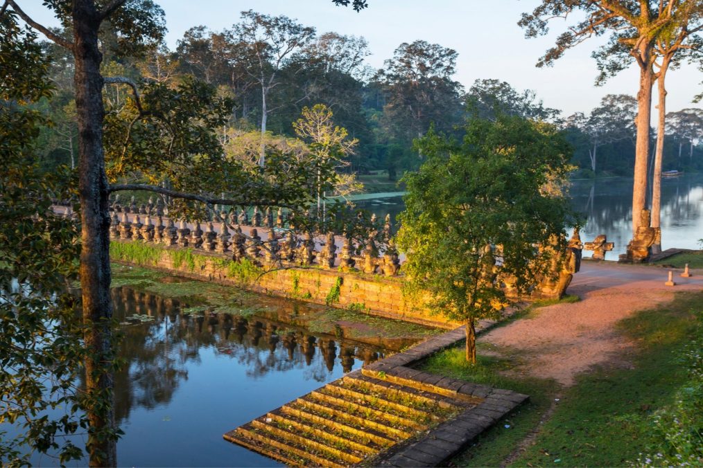 De natuur bij Angkor Wat in Cambodja