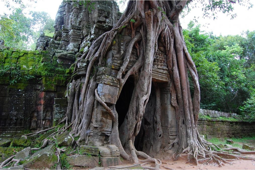 Angkor Wat - Ta Som Boom