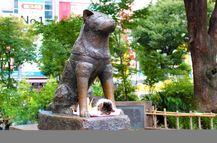 Hachiko Standbeeld bij Shibuya Station