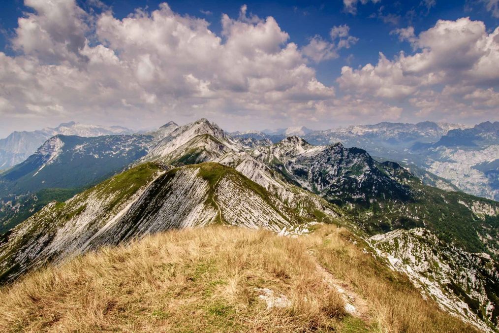 Top van Mount Vogel in Slovenië