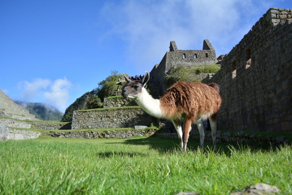 De ruïnes van Machu Picchu