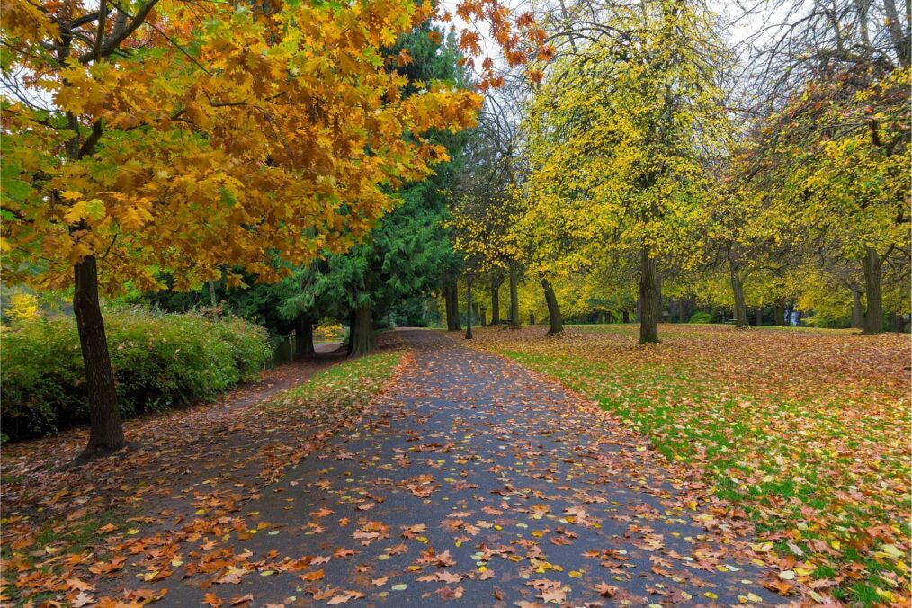 Laurelhurst Park in Portland tijdens de herfst