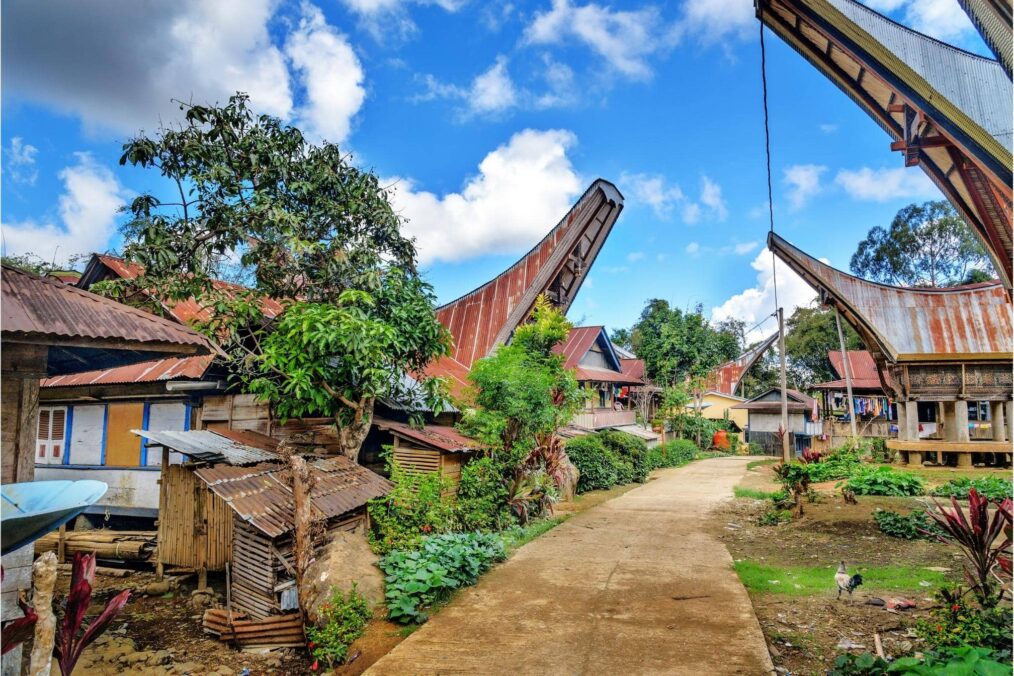 Indonesië - Traditionele boothuizen in Tana Toraja