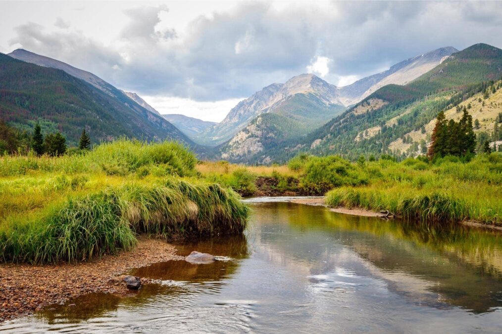 Flora en fauna van het Rocky Mountain National Park