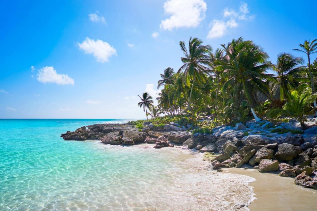 Strand met palmbomen en helder blauw water